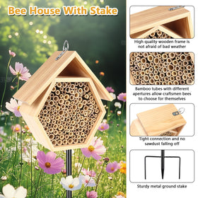 Lettry bamboo tubes with varied diameters offer bees tube choice