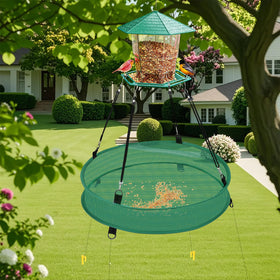 Lettry green color blends with garden and bird-friendly setup.