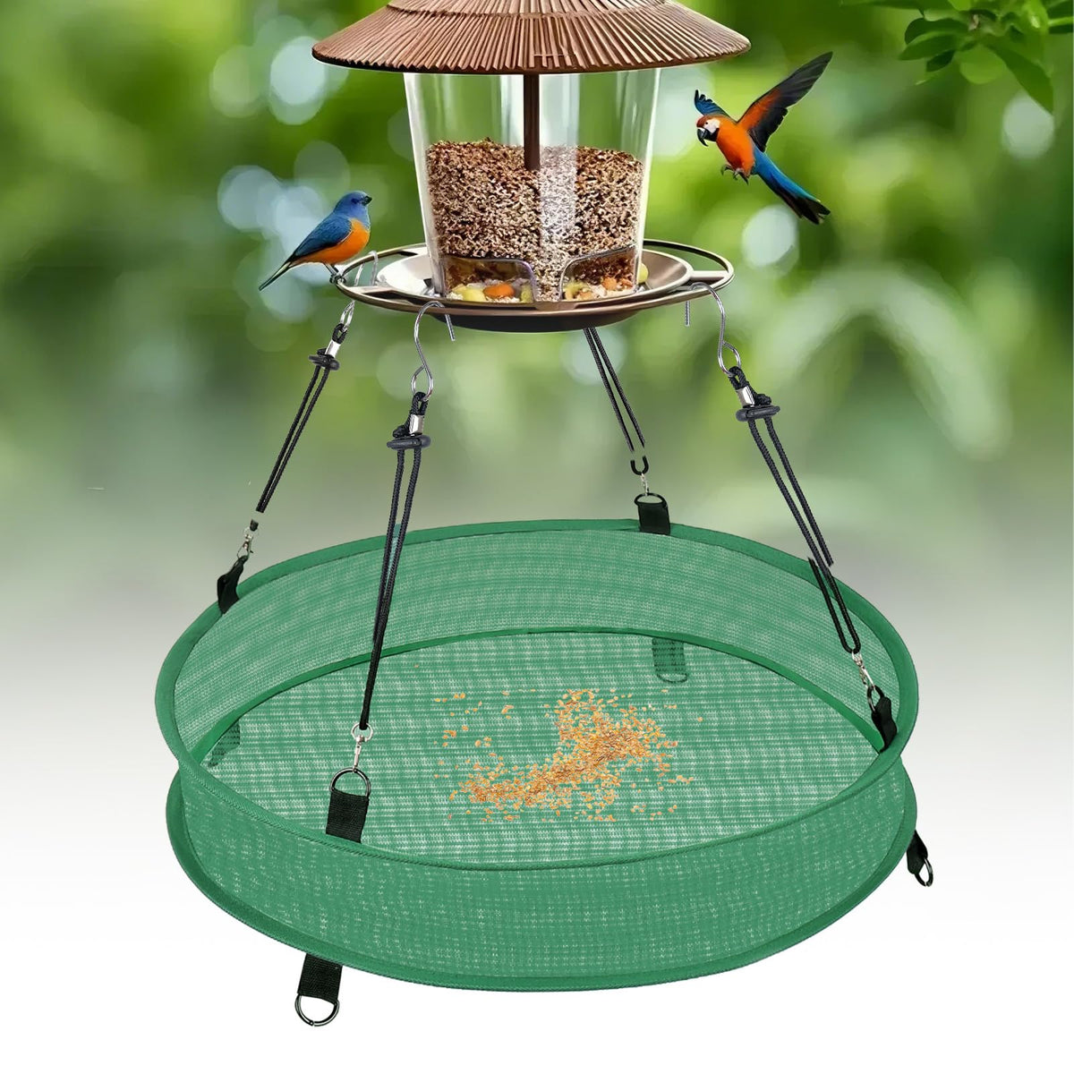 Lettry keeps seeds and shells off soil, aiding garden maintenance