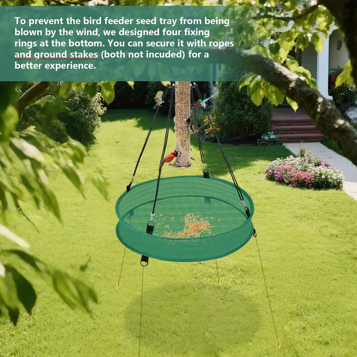 Lettry 24-inch green seed catcher tray offers larger coverage for busy feeders