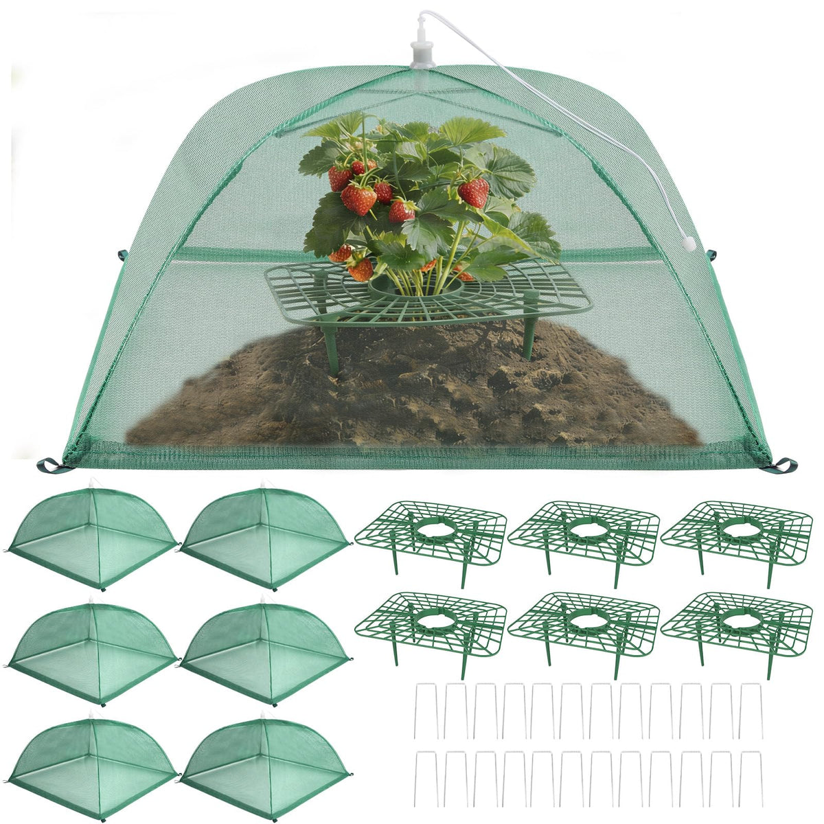 Lettry strawberry-support-trays elevate berries for cleaner fruit and better airflow.