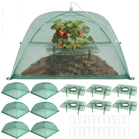 Lettry strawberry-support-trays elevate berries for cleaner fruit and better airflow.