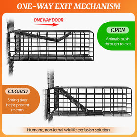 Lettry one-way door at chimney-gap, quick installation.