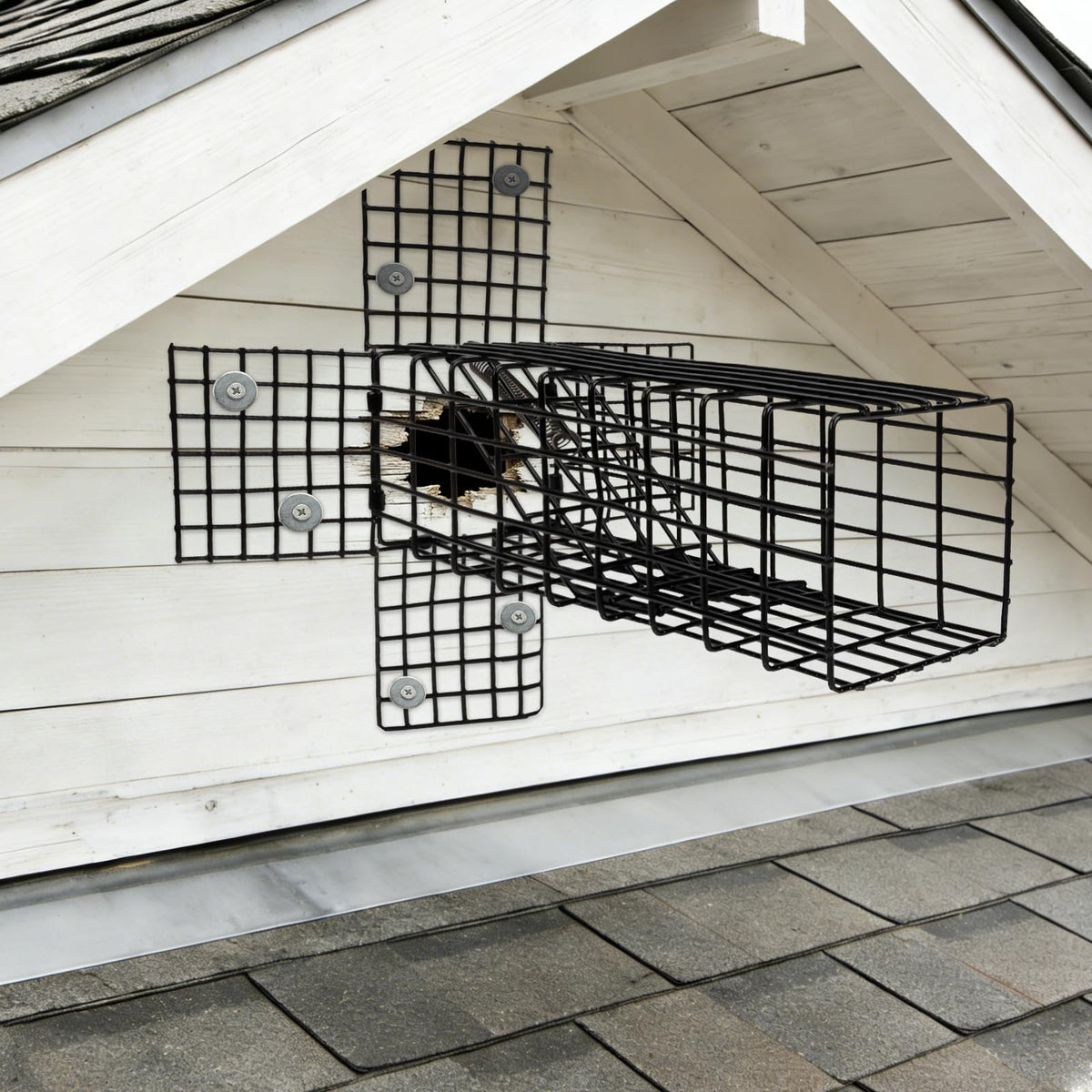 Lettry exterior gap solution supports safe wildlife egress.