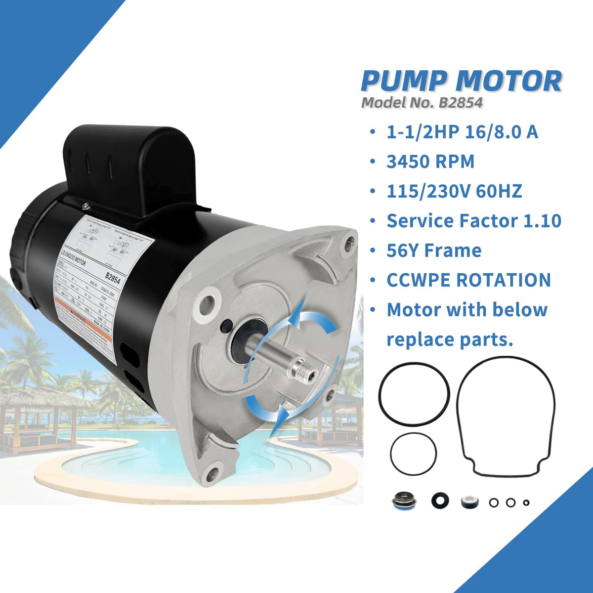 LEUNGOO B2854 side view highlights compact 56Y frame suitable for many pumps