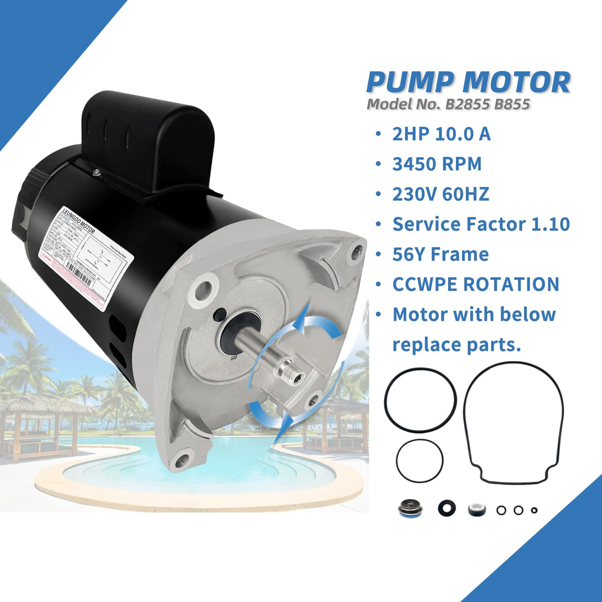 LEUNGOO B2855 pool pump motor side view highlights compact footprint for easy installation