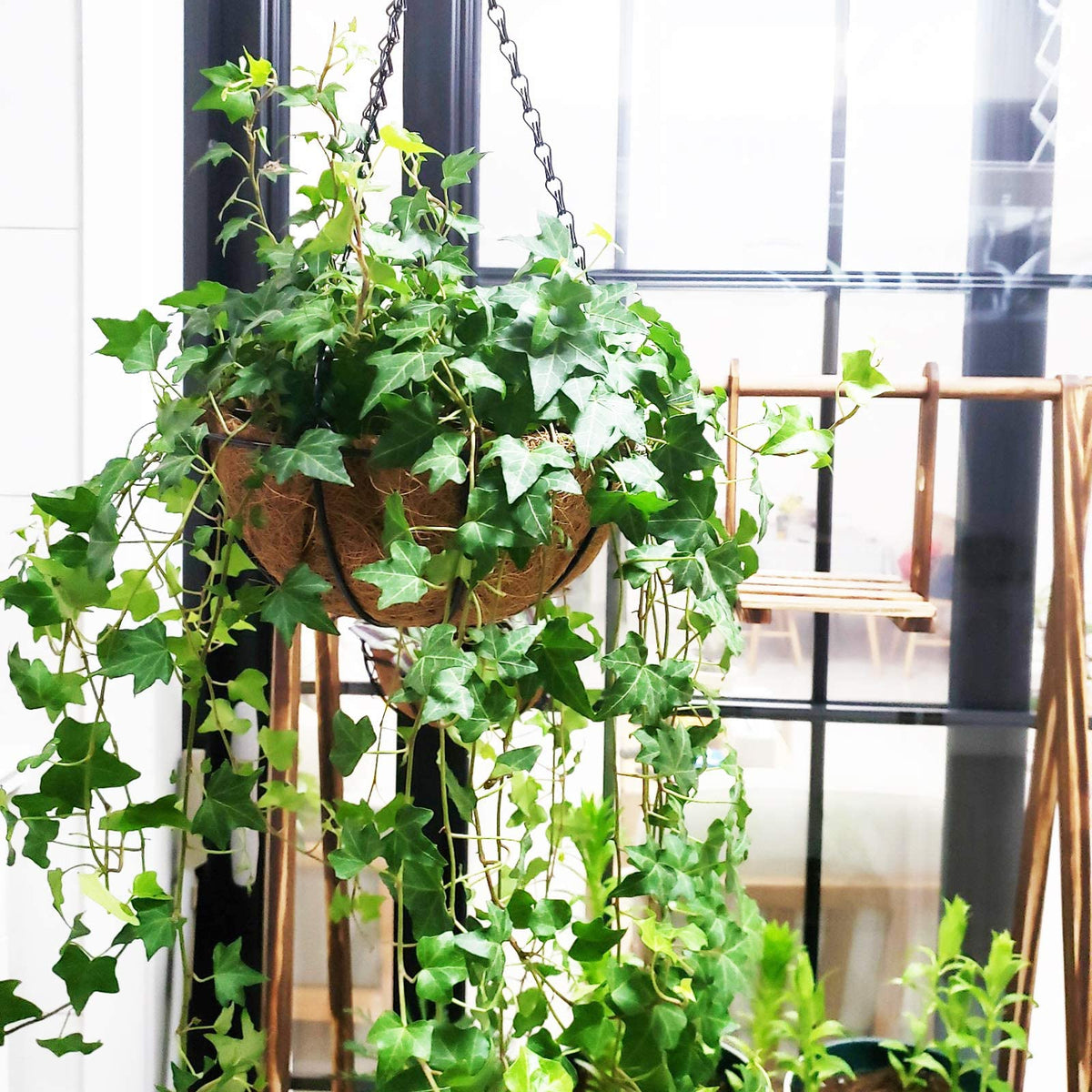 Outdoor balcony decor setup with HaleDaze liner for plants.