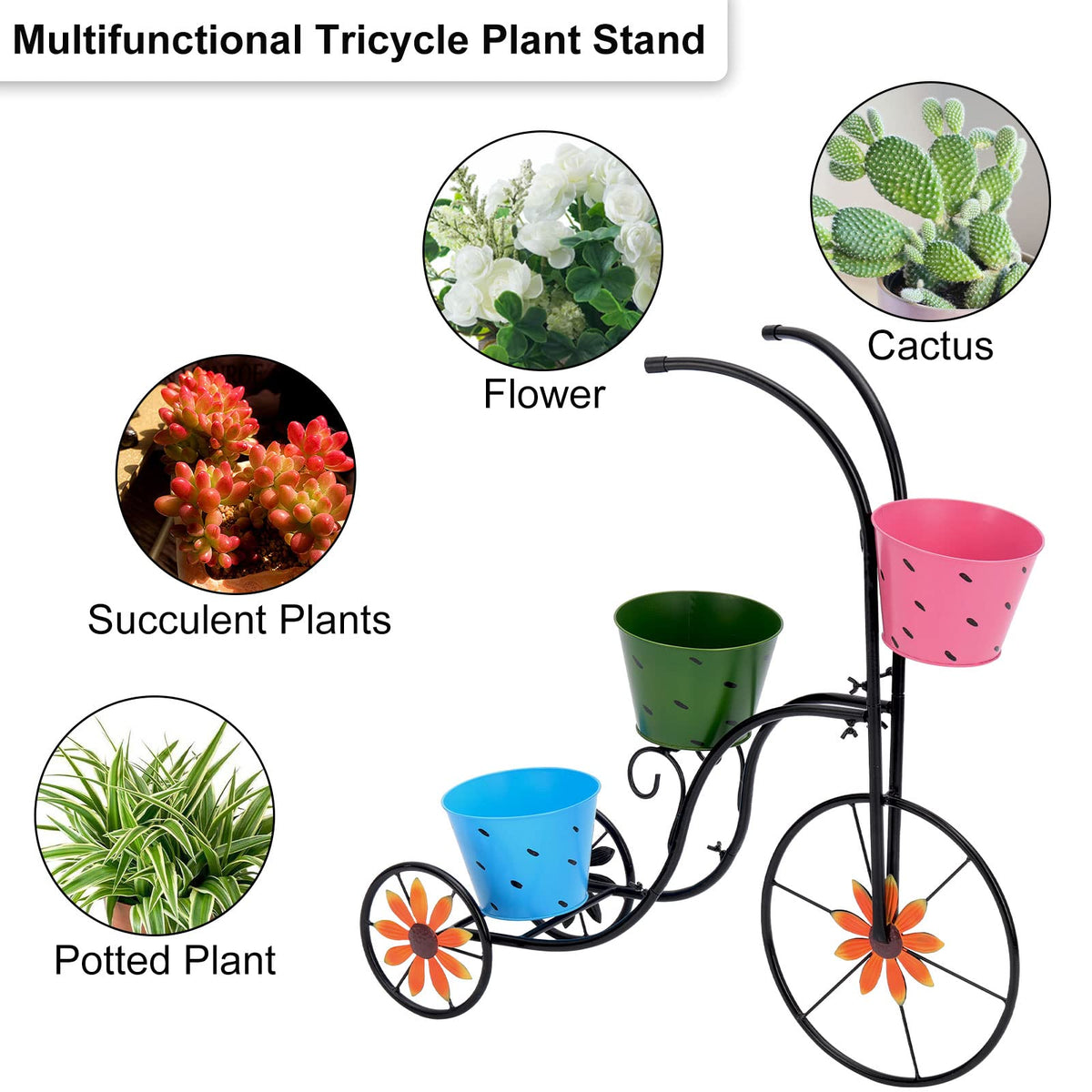 LEWIS&WAYNE outdoor decor tricycle planter creates a charming garden display.