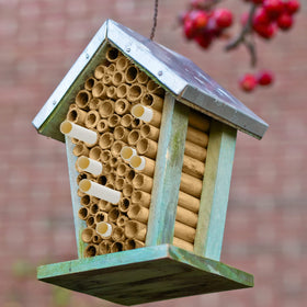 Lewtemi DIY bee house setup with tubes for pollinator support