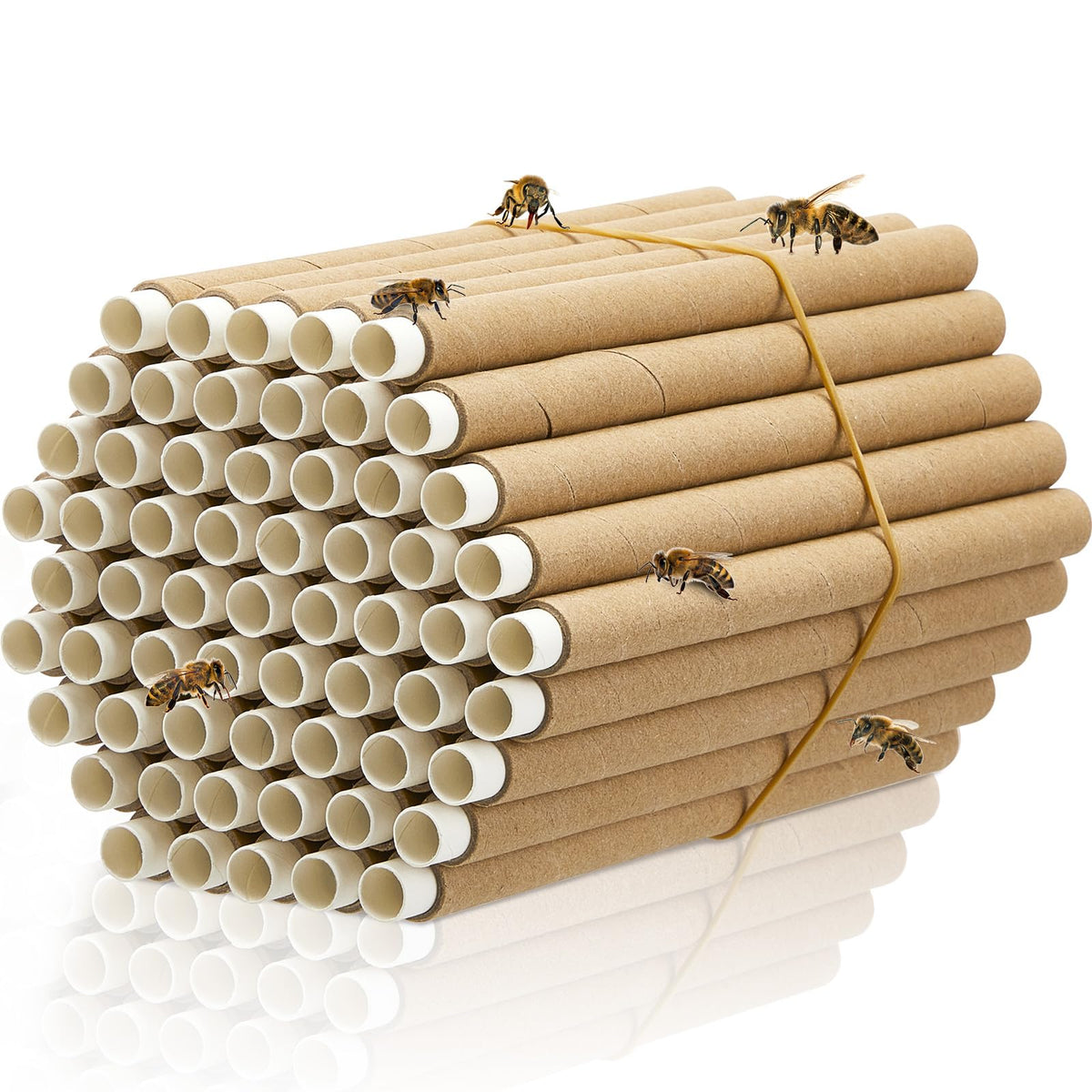Lewtemi mason bee tubes brown 5in for easy nesting and long-lasting use