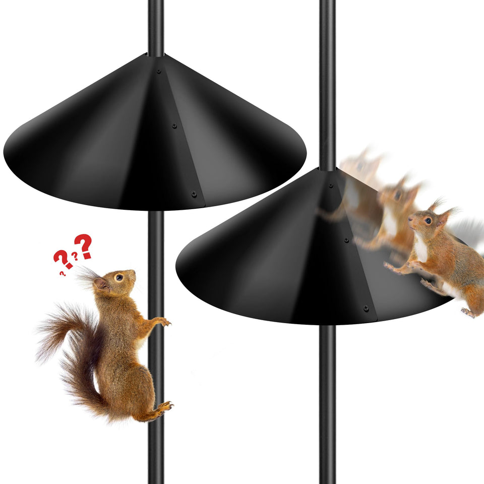 Lezcufer 19-inch squirrel baffle on outdoor pole protecting a feeder.