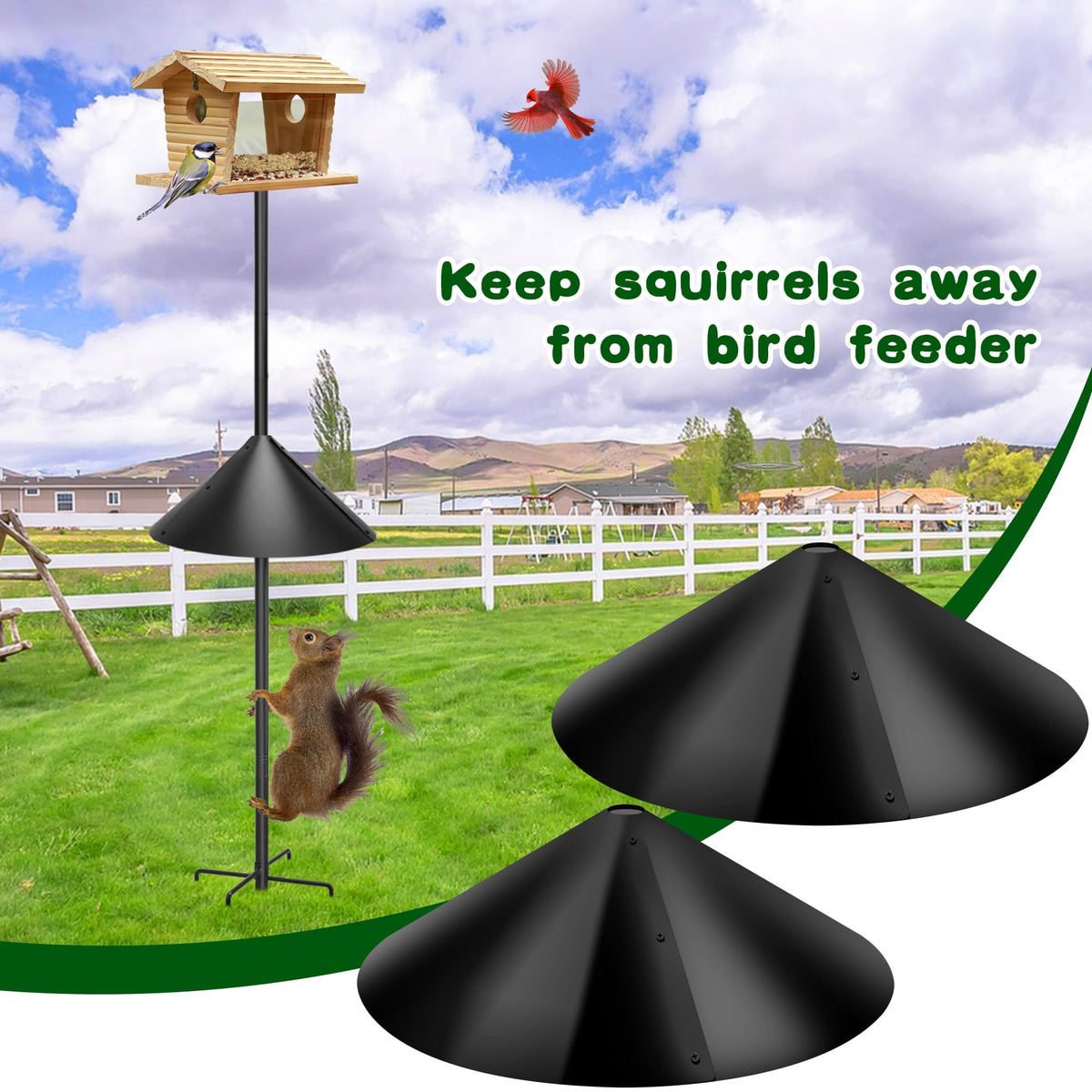 Lezcufer Bird-house Protection Kit helps safeguard bird food sources.