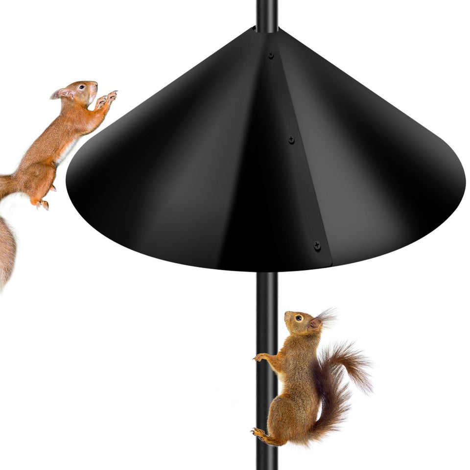Lezcufer PP squirrel-proof baffle 16-inch black guarding a feeder