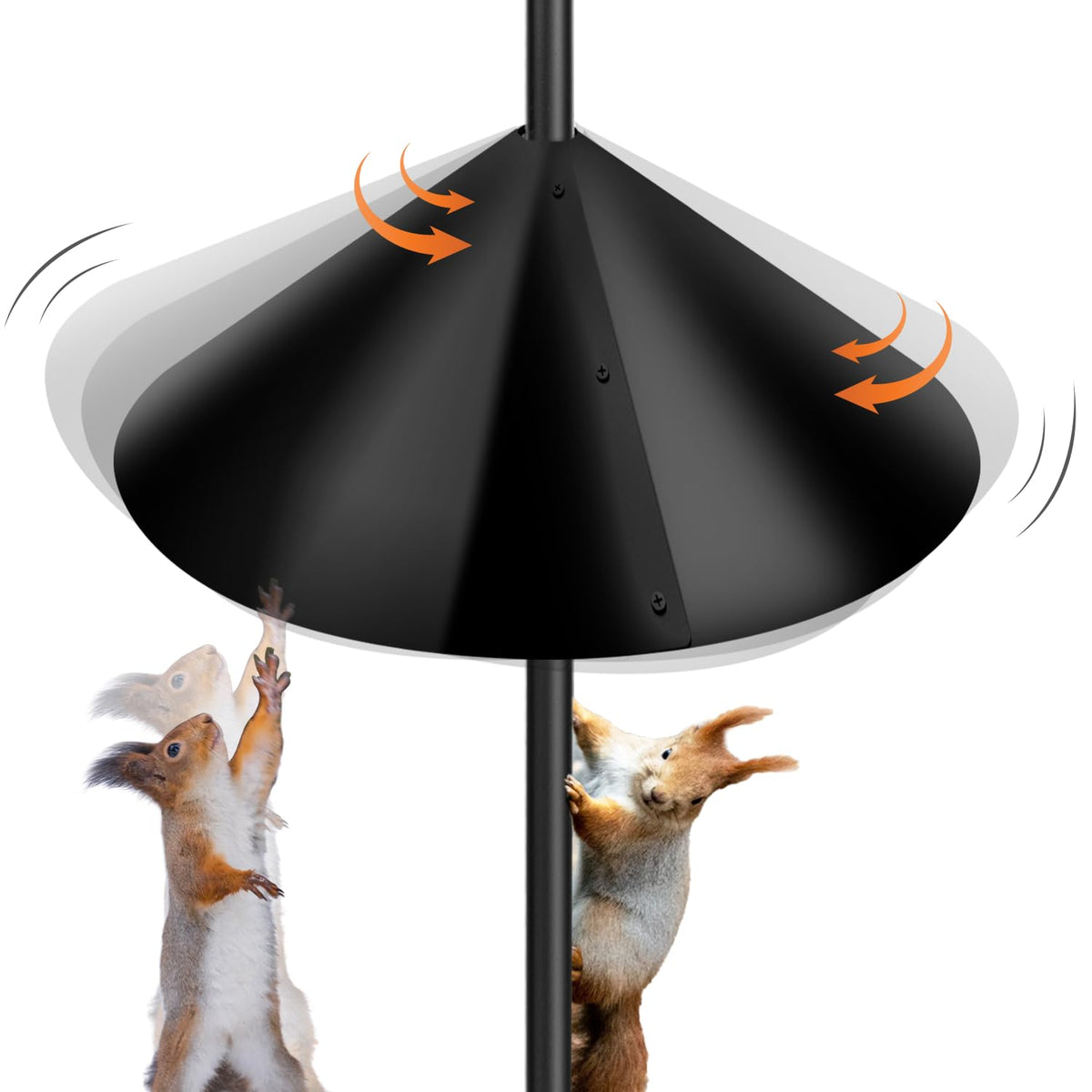 Lezcufer squirrel-baffle on a 19-inch pole protects the bird feeder from squirrels