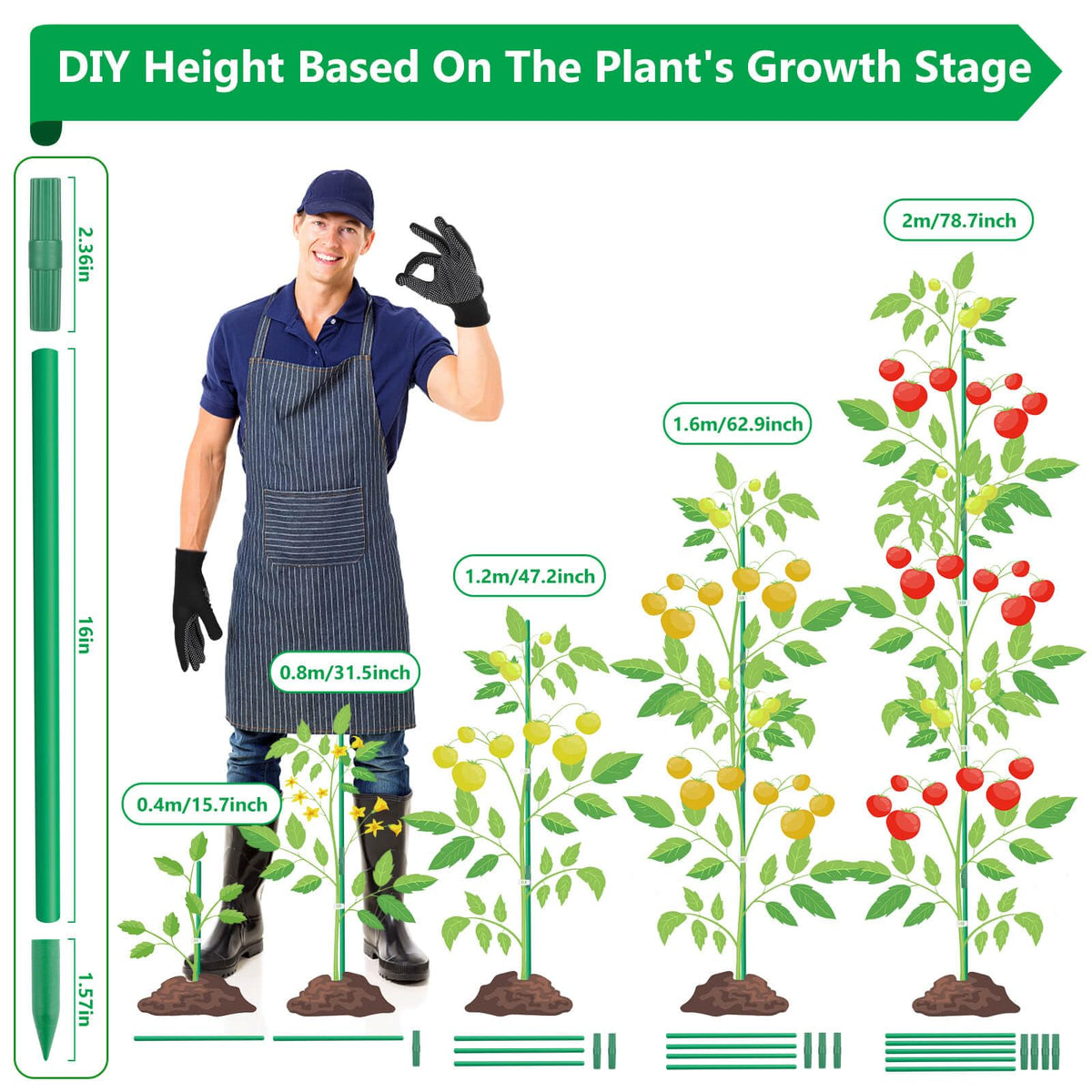Lezmarket fiberglass durability ensures long-lasting help for outdoor tomato vines.