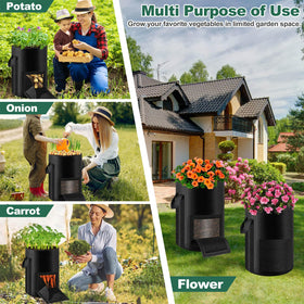 Lezmarket harvest-window bag enables observation without disturbing soil.