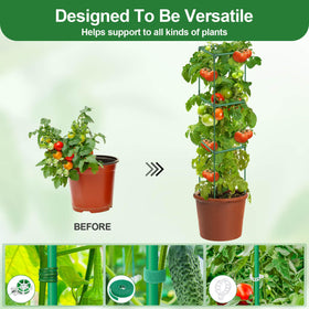 Lezmarket square trellis enabling sunlight and airflow for healthy growth.