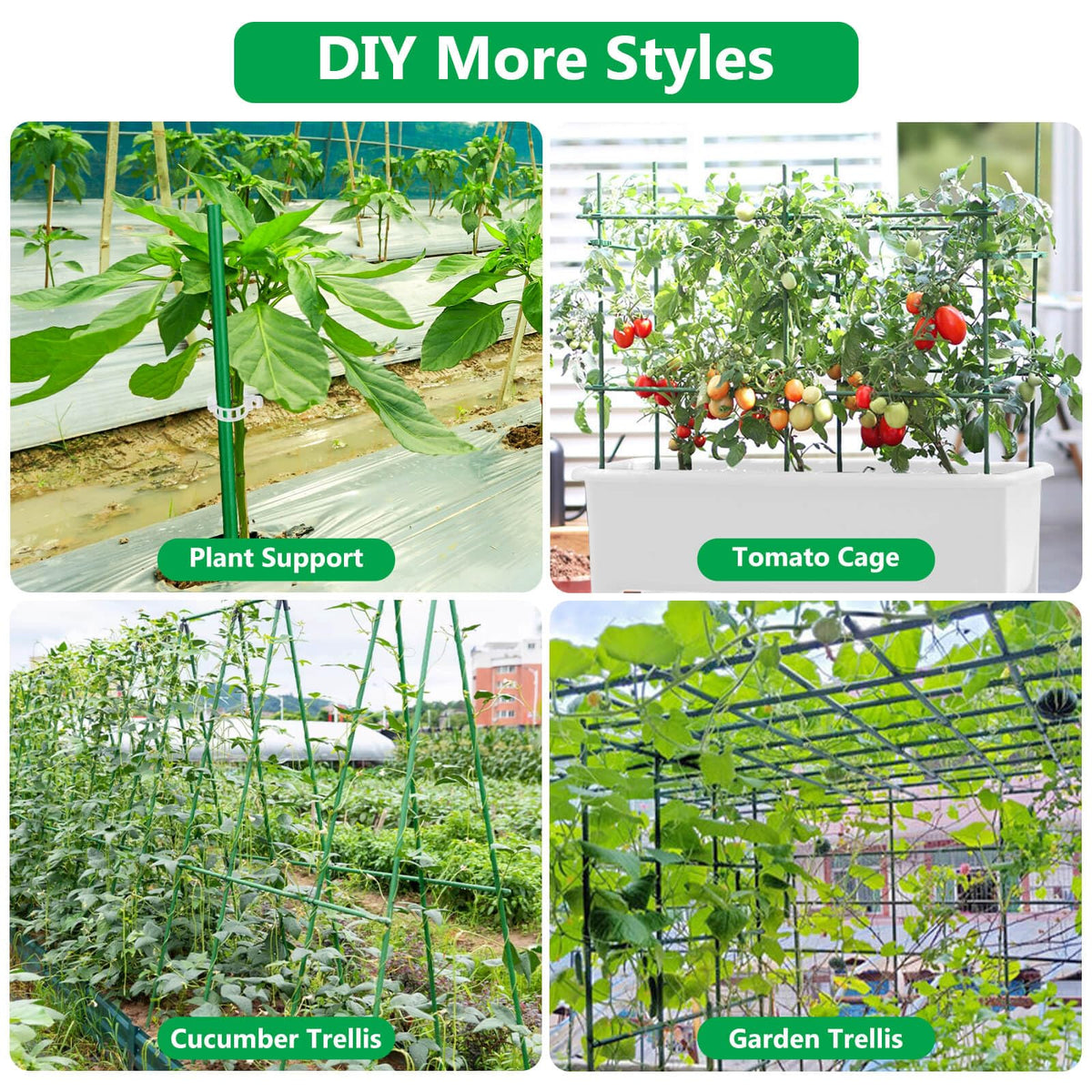 Lezmarket tomato clips keep fruits and stems tidy and supported.