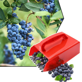 LFSEMINI Berry Picker works with blueberries, lingonberries, and more