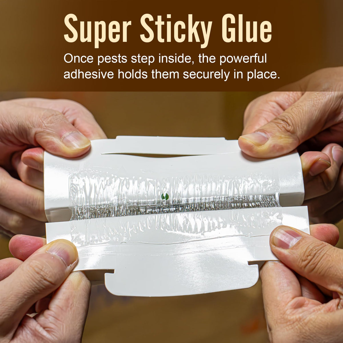 LFSYS child-pet-safe-glue-traps suitable for kitchens and living areas around kids