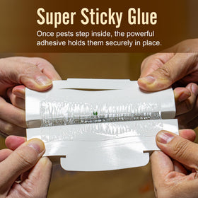 LFSYS child-pet-safe-glue-traps suitable for kitchens and living areas around kids
