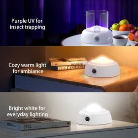 LFSYS fruit fly trap set up at night in a dark room for better attraction