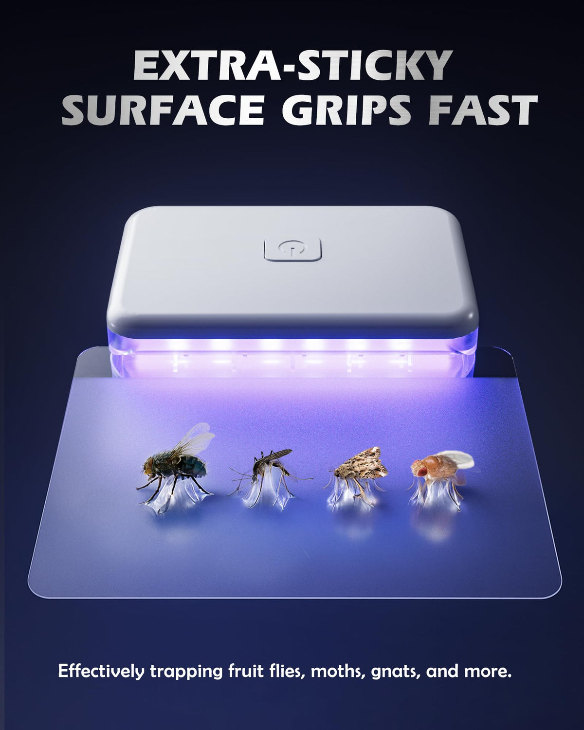 LFSYS packaging image of the fruit fly traps for indoor use.