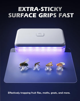 LFSYS packaging image of the fruit fly traps for indoor use.