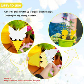 LFSYS indoor safe pest control sticky traps are non-toxic and pet-friendly