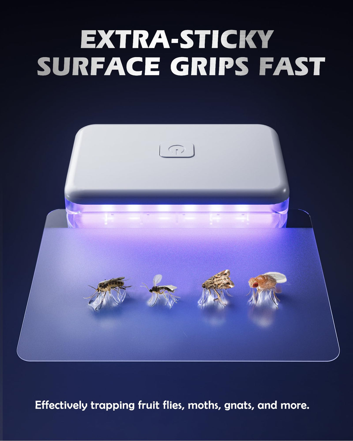 LFSYS quiet odor-free operation for peaceful indoor use.