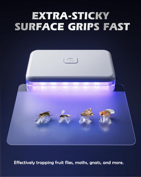 LFSYS quiet, odor-free operation supports restful nights while controlling pests indoors.