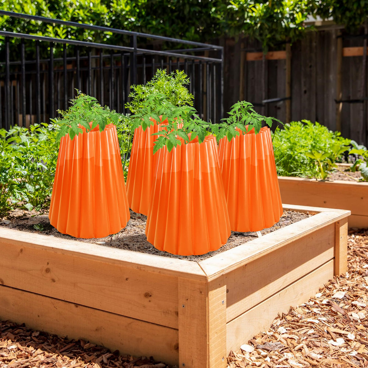 LFUTARI cover over vegetable seedlings for frost relief and growth.