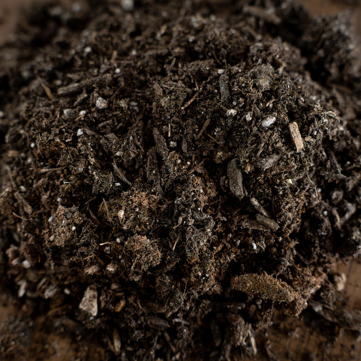 LGM Premium Cactus Soil Mix uses aged forest-based ingredients for quality soil.