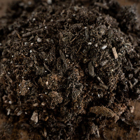 LGM Premium Cactus Soil Mix uses aged forest-based ingredients for quality soil.