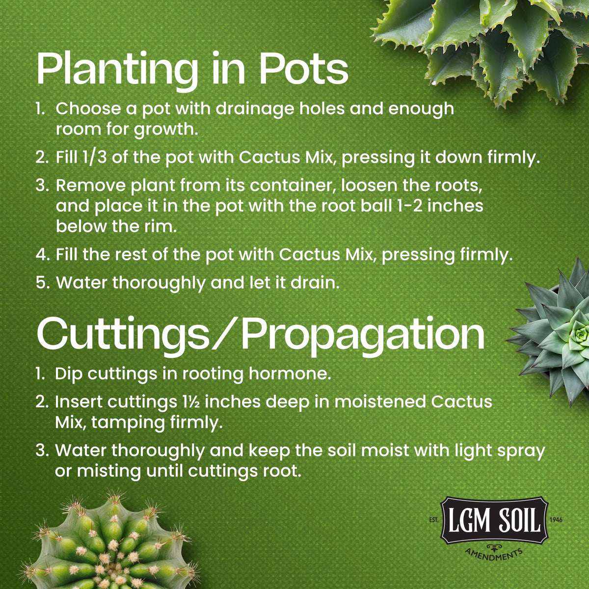 LGM Premium Cactus Soil Mix with perlite improves airflow around roots.