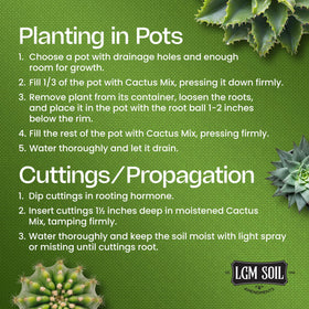 LGM Premium Cactus Soil Mix with perlite improves airflow around roots.