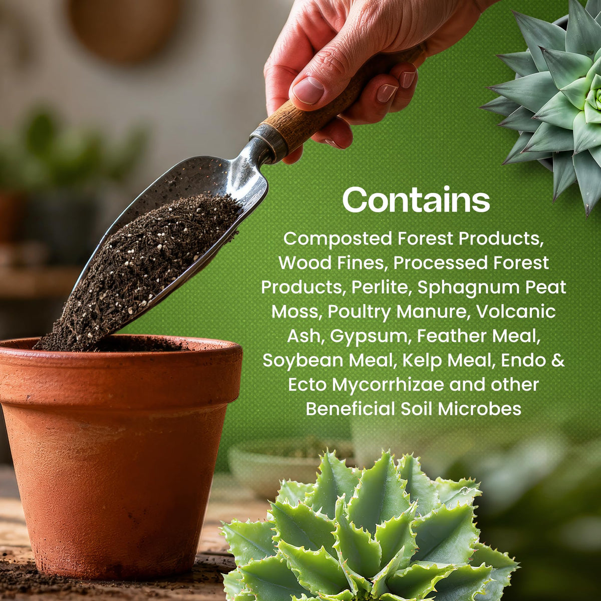 LGM Premium Cactus Soil Mix ready-to-use formula for indoor succulents and citrus.