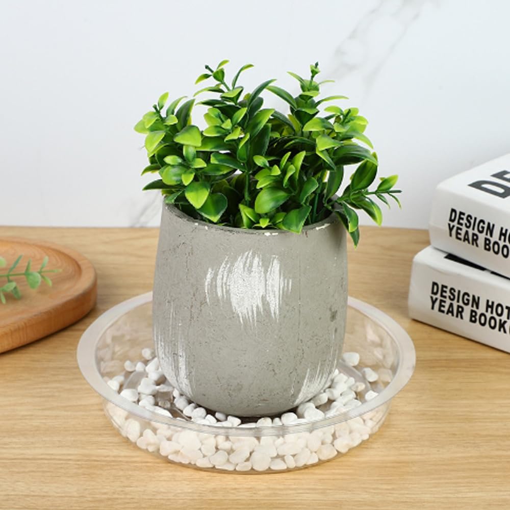 LHatrance transparent saucer design easy to pair with any pot style.