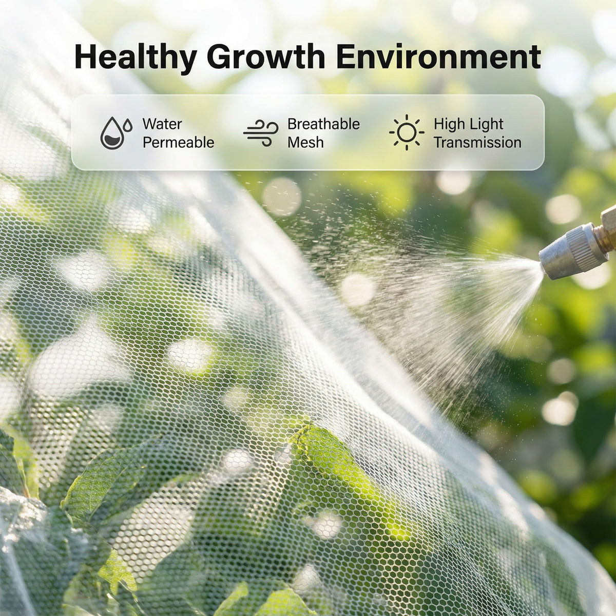 LHongL blueberry shrub covered with simple netting for protection