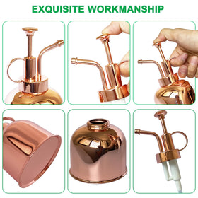 Lianshi easy one-hand operation sprayer for quick indoor watering