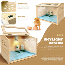 LIAQICHA complete starter package includes feeder, waterer, and bedding