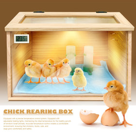 LIAQICHA heating lamp setup demonstrates fast preheating