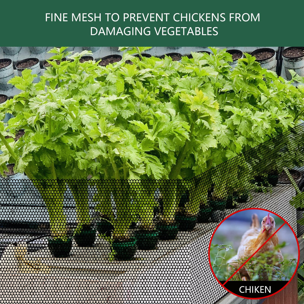 LIAQICHA UV-resistant mesh endures sun exposure for outdoor poultry protection.