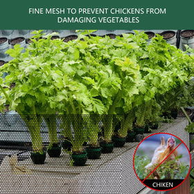 LIAQICHA UV-resistant mesh endures sun exposure for outdoor poultry protection.