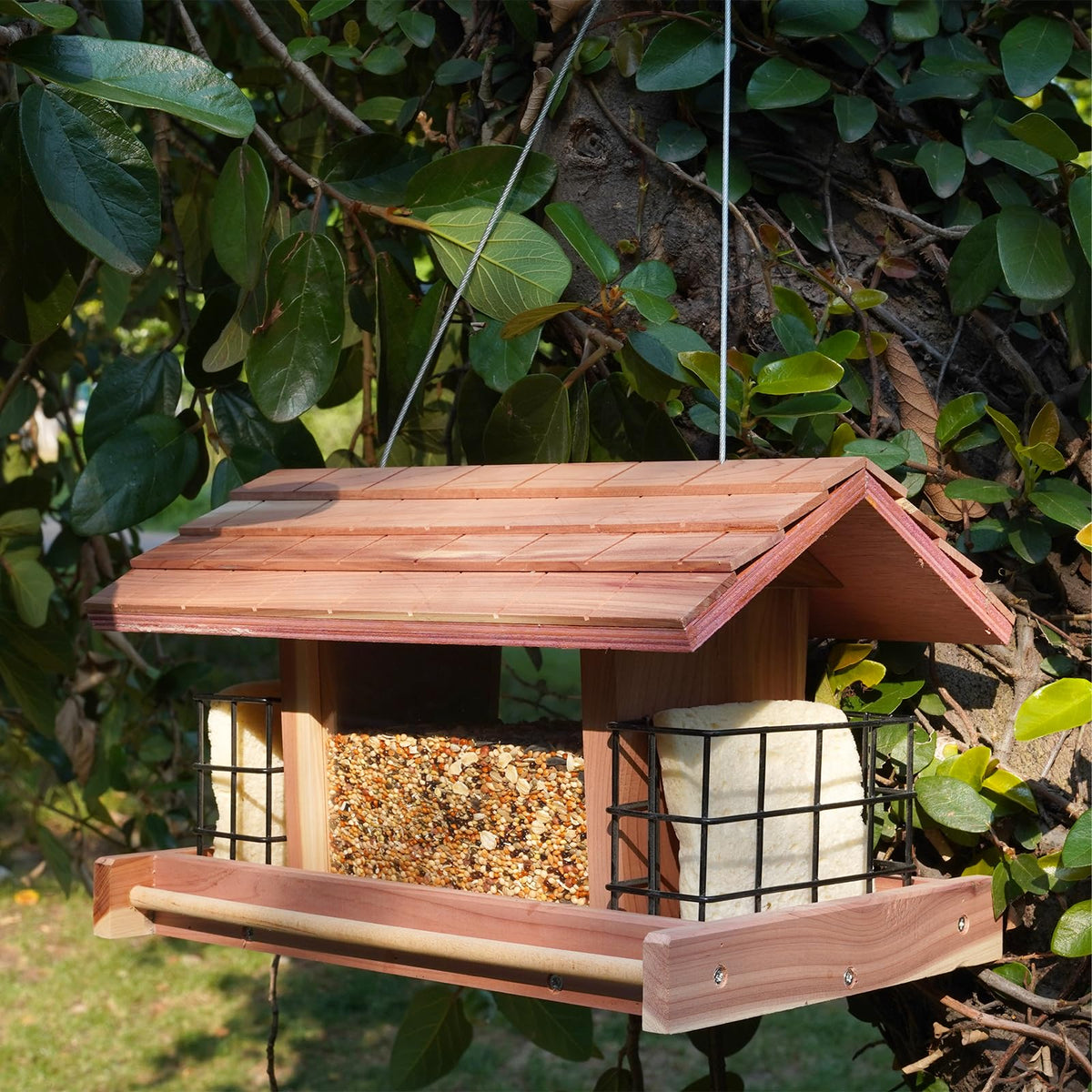 Liawm wooden bird feeder hanging outdoors with durable red cedar for outdoor use.