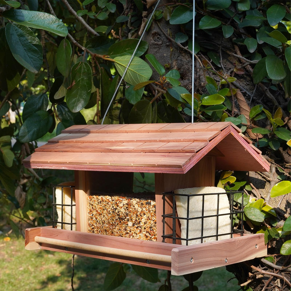 Liawm wooden bird feeder hanging outdoors with durable red cedar for outdoor use.