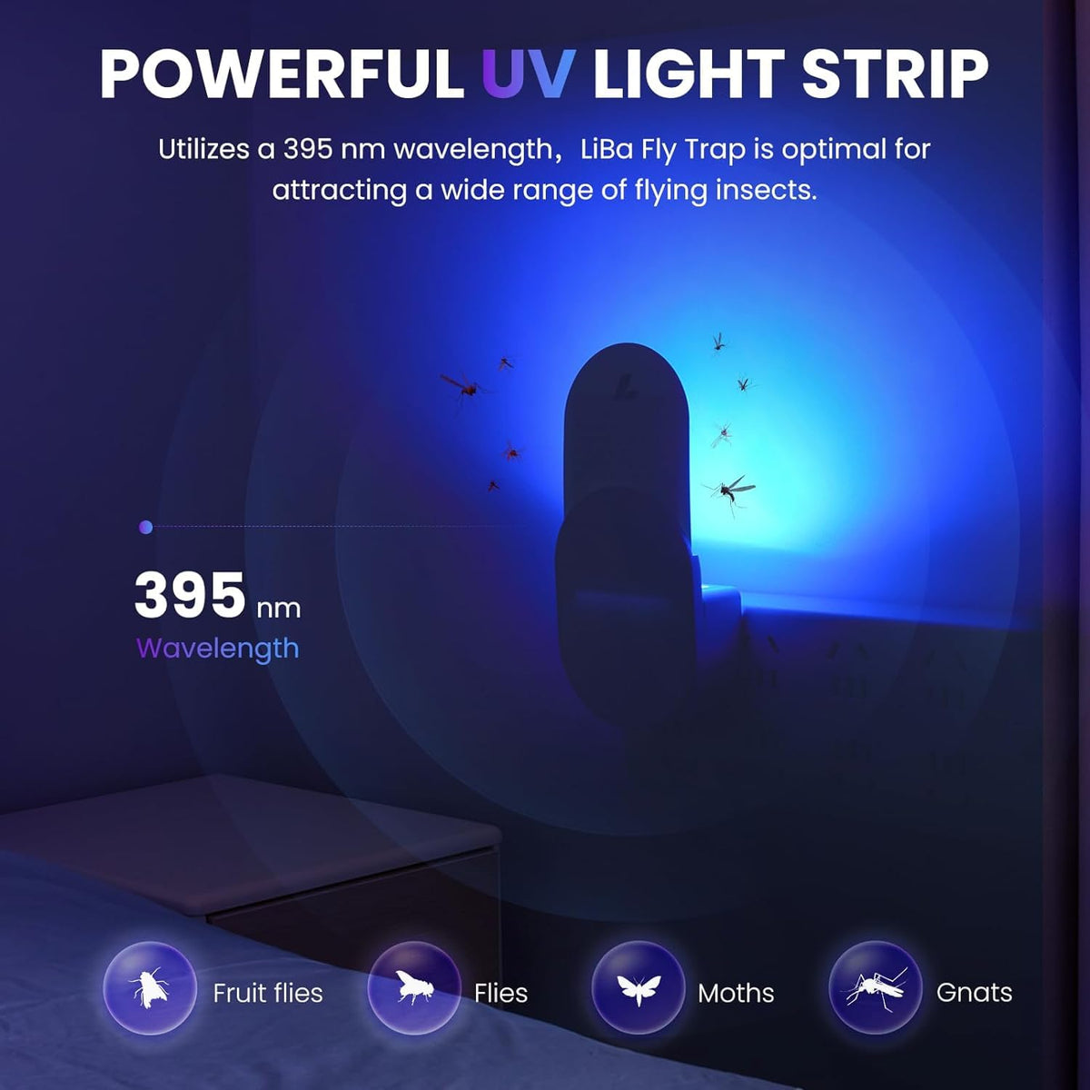 LiBa indoor fly trap with night light attracts pests away