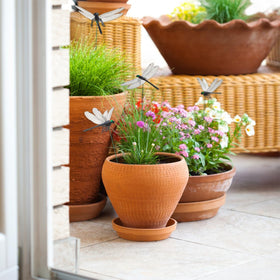 Lidengle dragonfly stake pot display brightens indoor arrangements.