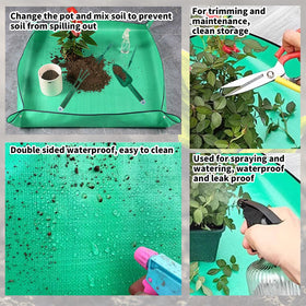 LIFCIUSO single-hole planter for focused sowing precision