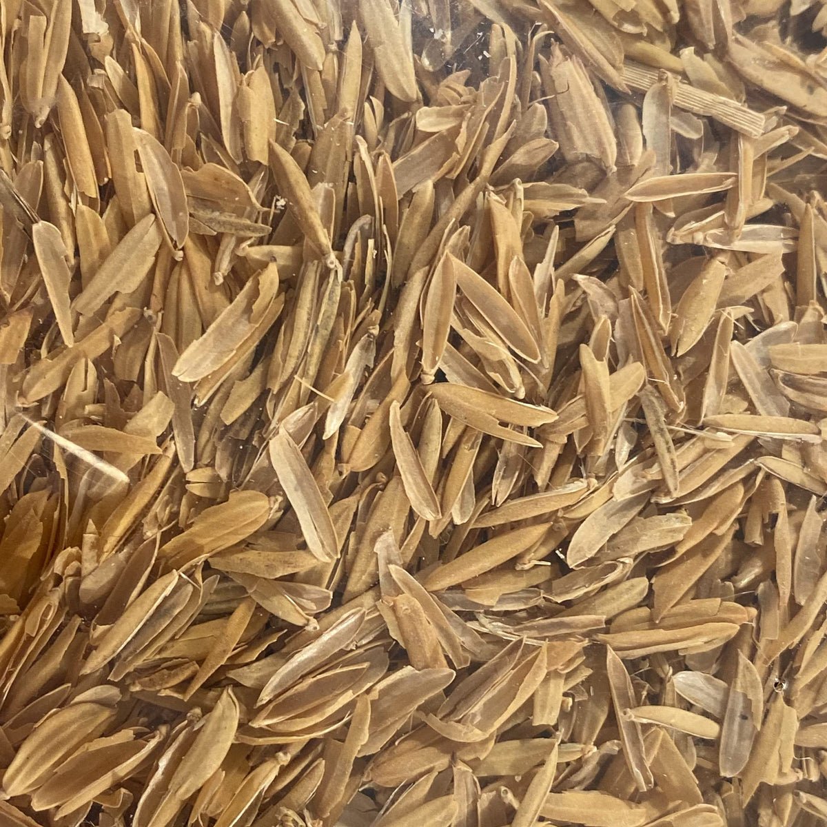 Life Cycle Organics Organic Rice Hulls 1-gallon-bucket demonstrates a ready-to-use garden amendment.